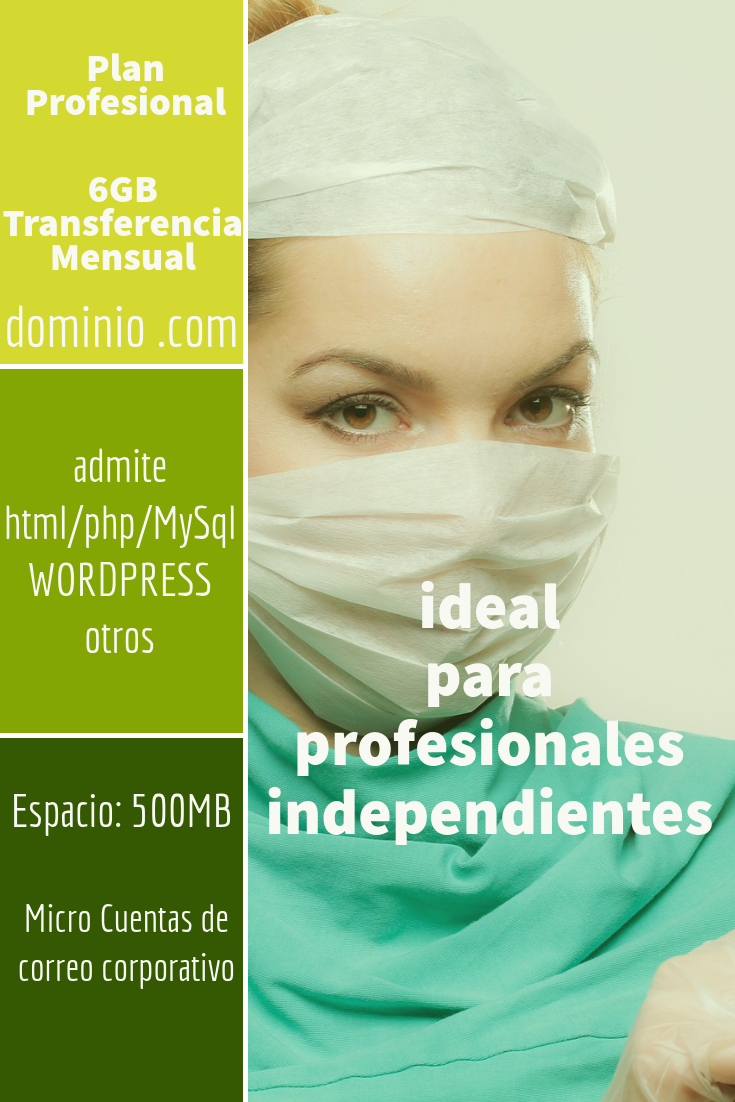 hosting colombia plan Profesional